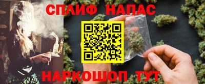 шишки Гусиноозёрск
