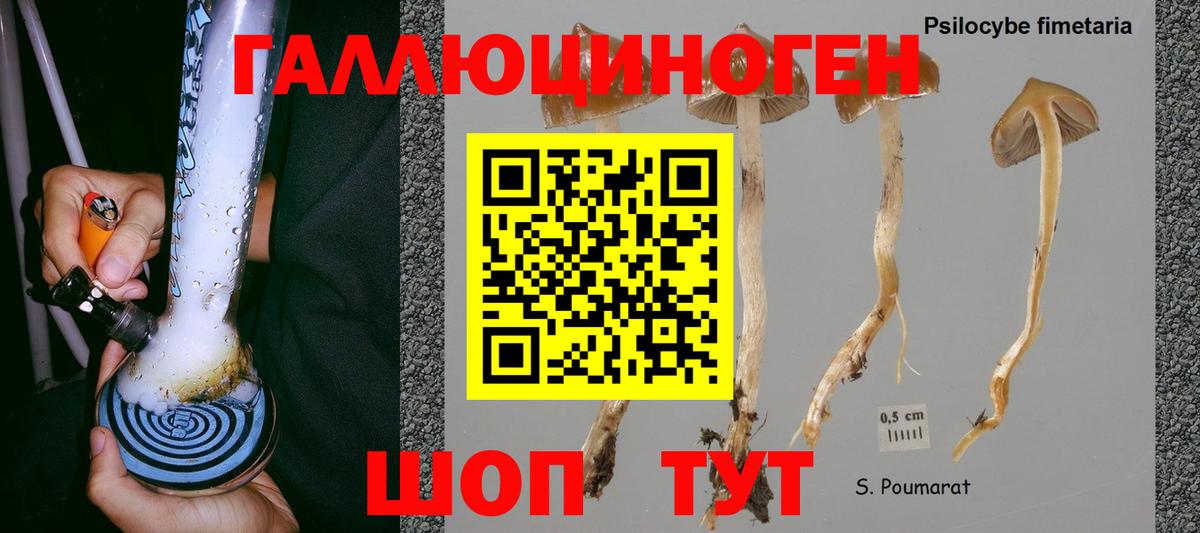 Псилоцибиновые грибы ЛСД Михайловка