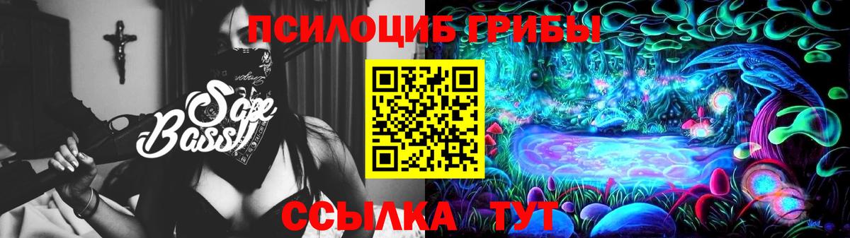 Псилоцибиновые грибы Magic Shrooms  Вход с VPN  Псилоцибиновые грибы Psilocybe  Михайловка 